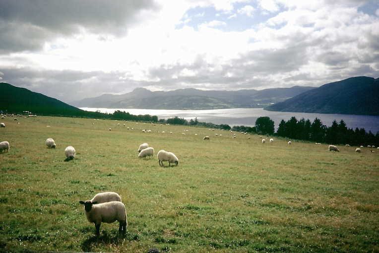 0010KM 2755 29AUG02 Schottland Loch Ness.jpg